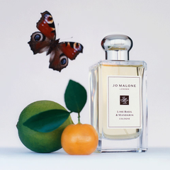 Lime Basil & Mandarin Cologne