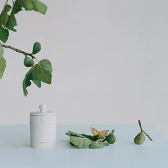 Fresh Fig & Cassis Diffuser Oil Refill