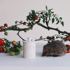 Green Tomato Vine Townhouse Collection Reed Diffuser