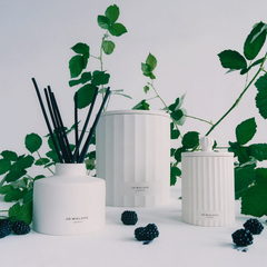 Wild Berry & Bramble Reed Diffuser