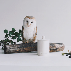 Wild Berry & Bramble Reed Diffuser