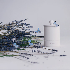 Wild Berry & Bramble Reed Diffuser