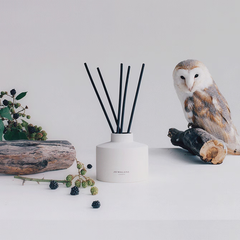 Wild Berry & Bramble Reed Diffuser