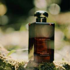 Hinoki & Cedarwood Cologne Intense