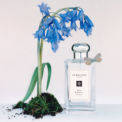 Wild Bluebell Cologne