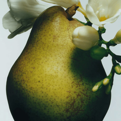 English Pear & Freesia Diffuser Oil Refill