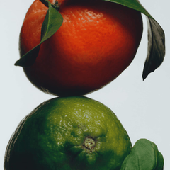 Lime Basil & Mandarin Diffuser Oil Refill