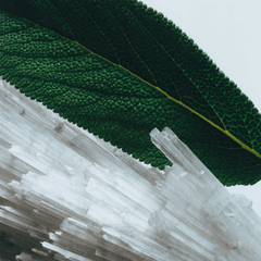 Wood Sage & Sea Salt Diffuser Oil Refill