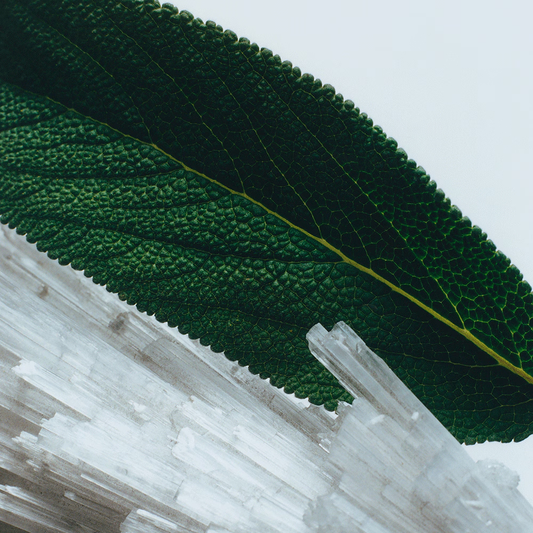 Wood Sage & Sea Salt Cologne