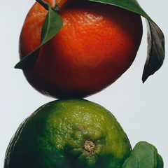 Lime Basil & Mandarin Scented Candle