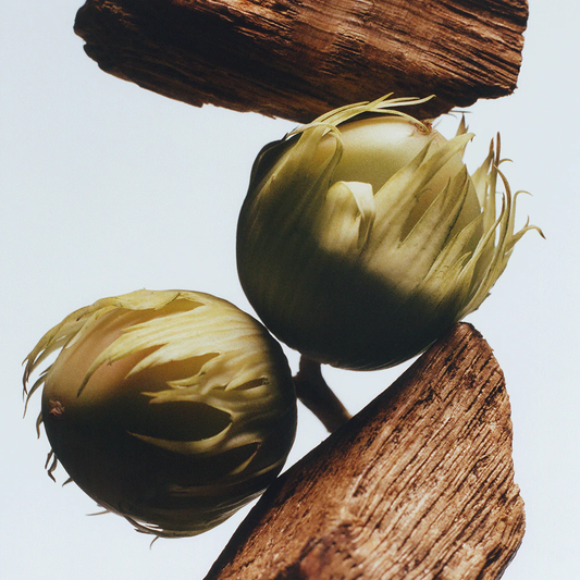 English Oak & Hazelnut Cologne