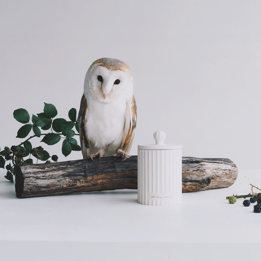 Wild Berry & Bramble Townhouse Scented Candle