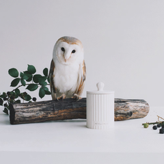 Wild Berry & Bramble Townhouse Scented Candle