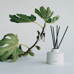 Fresh Fig & Cassis Diffuser Oil Refill