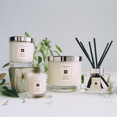 Wood Sage & Sea Salt Reed Diffuser
