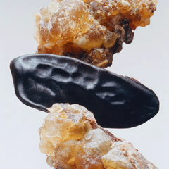 Myrrh & Tonka Cologne Intense