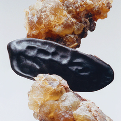 Myrrh & Tonka Scented Candle